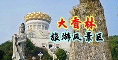狂插嫩穴网址中国浙江-绍兴大香林旅游风景区